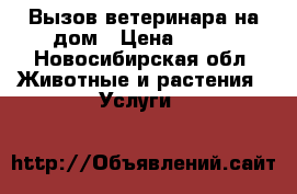 Вызов ветеринара на дом › Цена ­ 500 - Новосибирская обл. Животные и растения » Услуги   